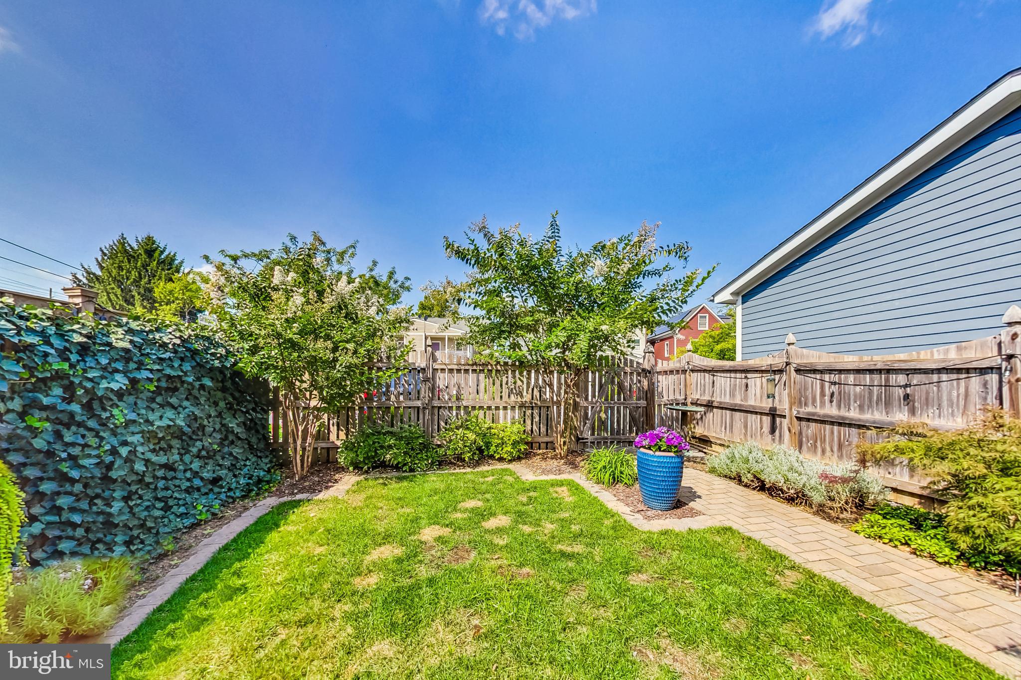 DOWNTOWN FREDERICK - Residential