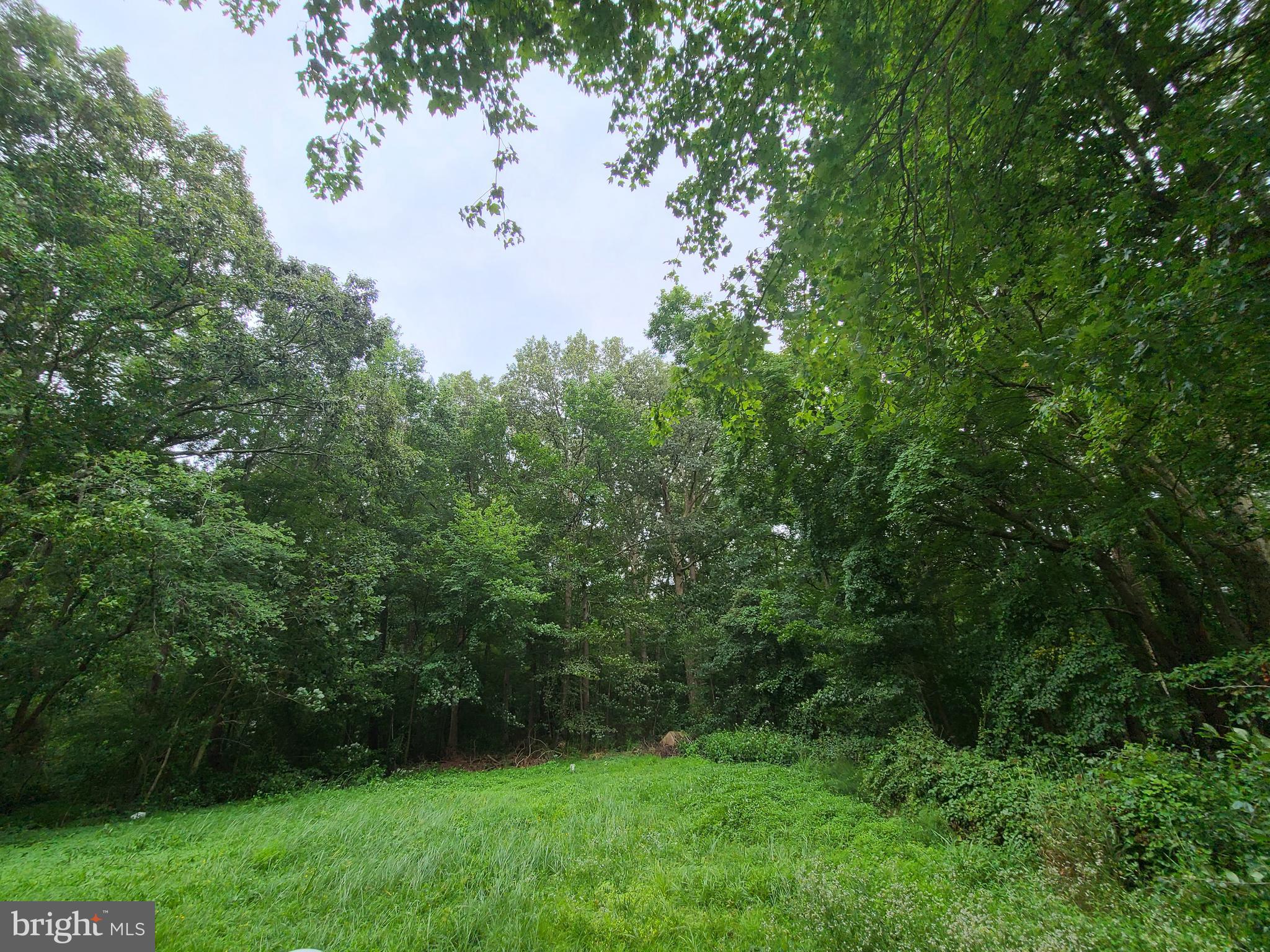 LINCOLN PARK - Residential