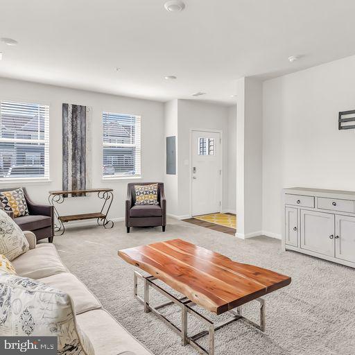 SPRING VILLAGE - Residential