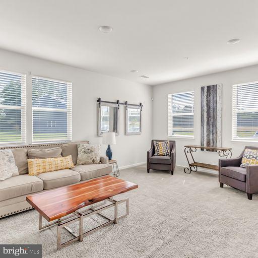 SPRING VILLAGE - Residential