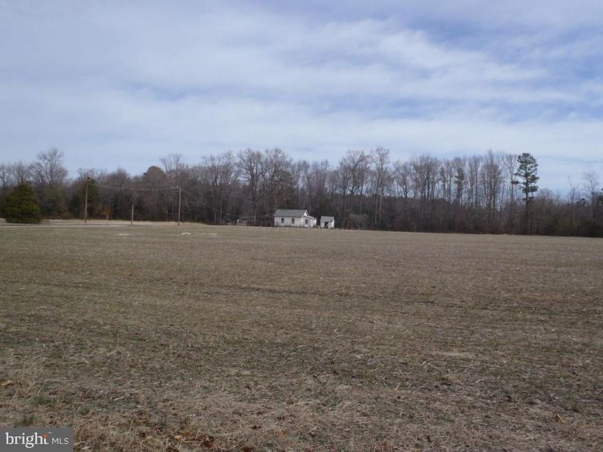 Excellent tillable, wooded and small creek from best describes this 91.35 acre parcel. Main house has been off conveyed. Re-do or add onto existing bungalow or start over from scratch.  Age of bungalow is estimated. Wonderful area minutes to Salisbury. Can be purchased w/88 ac direct Nanticoke River waterfront pcl. See MLS #452655. See listing agent for restrictions.