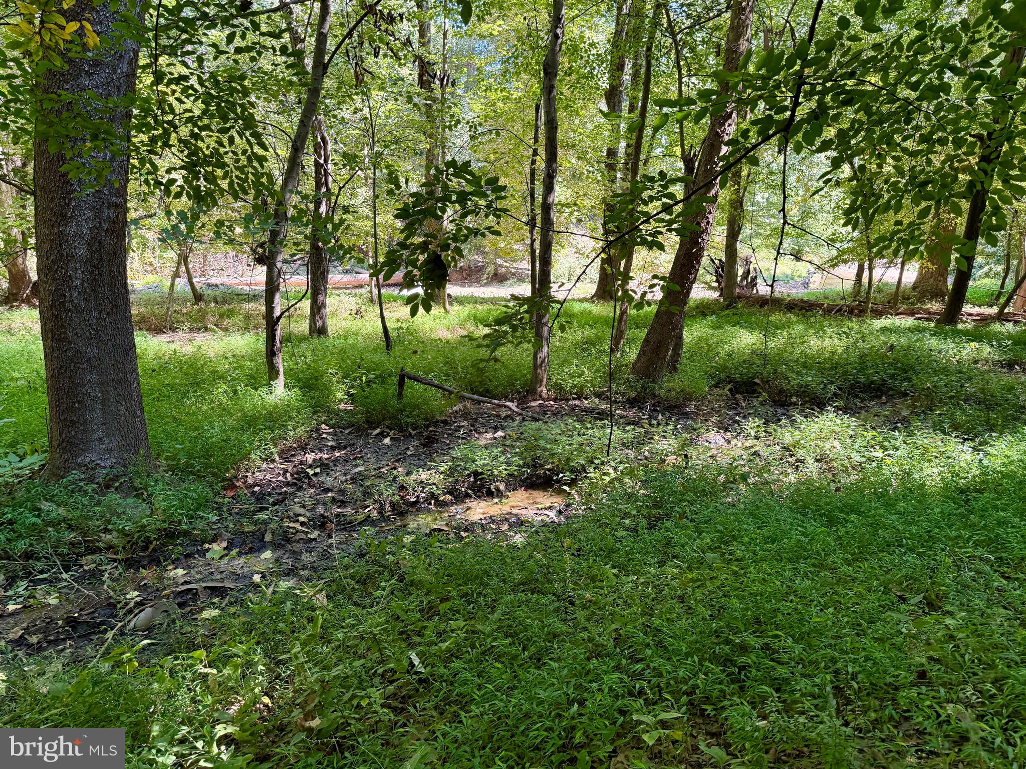 SCOTTS RUN - Residential