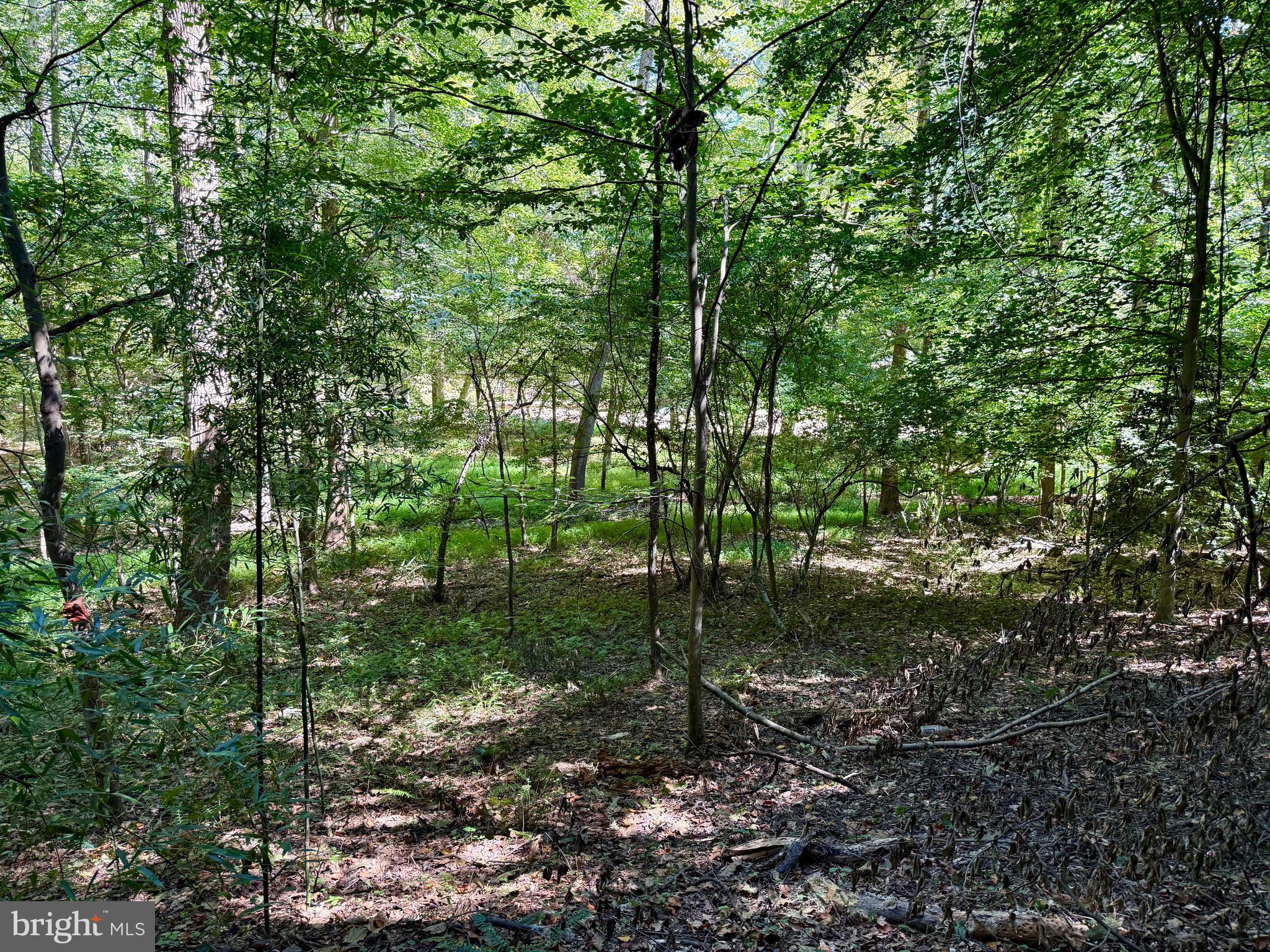 SCOTTS RUN - Residential