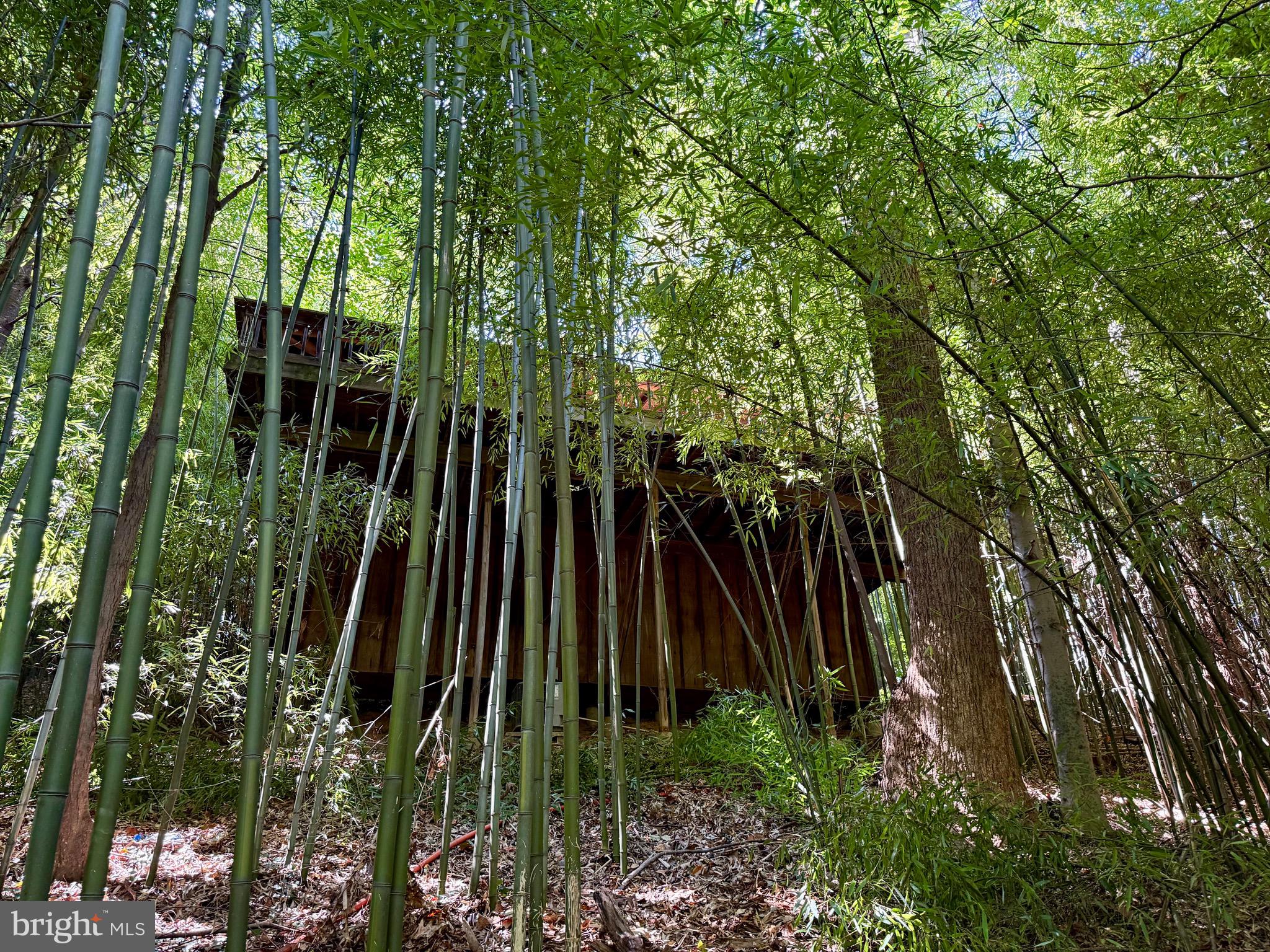 SCOTTS RUN - Residential