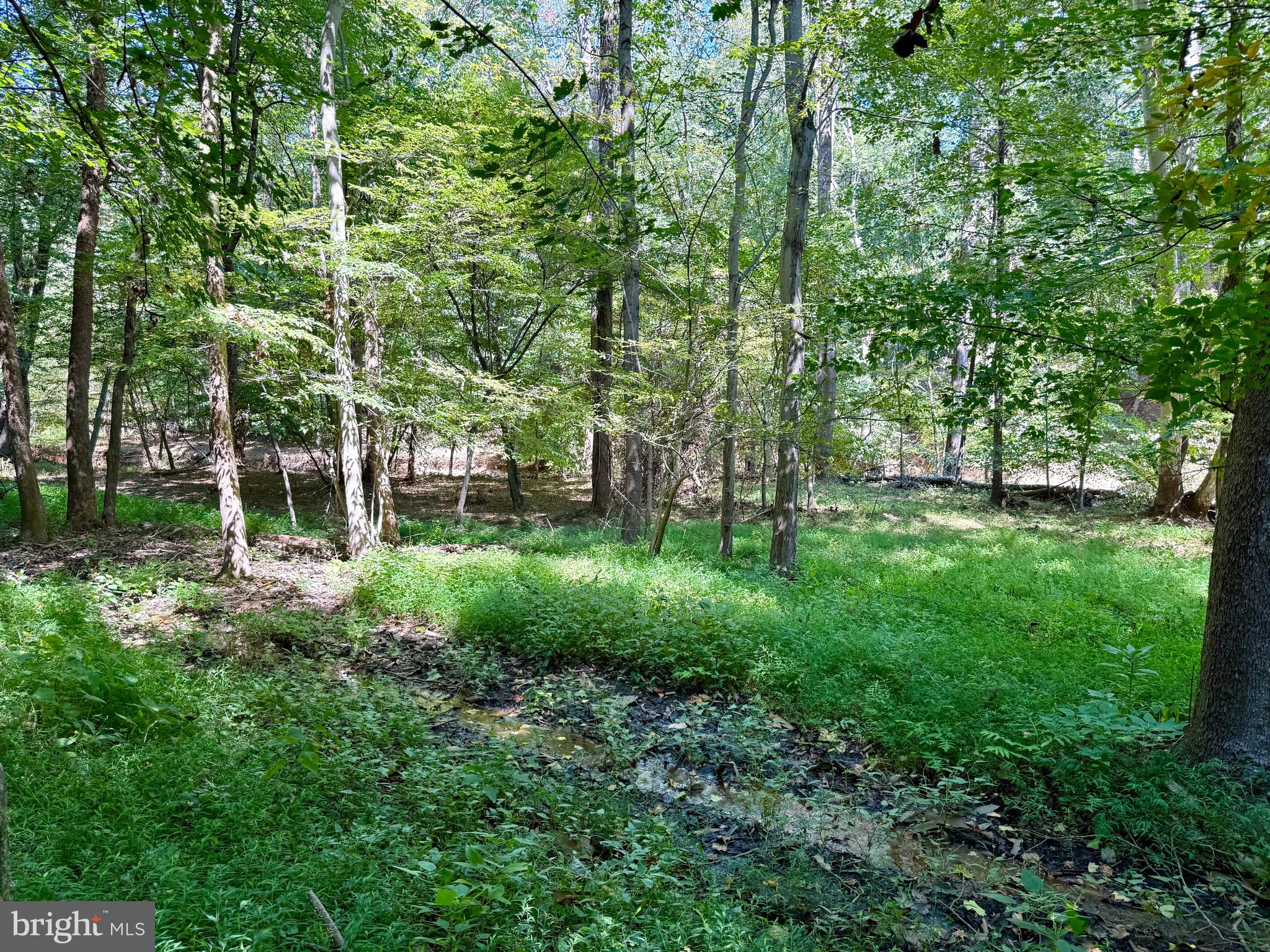 SCOTTS RUN - Residential