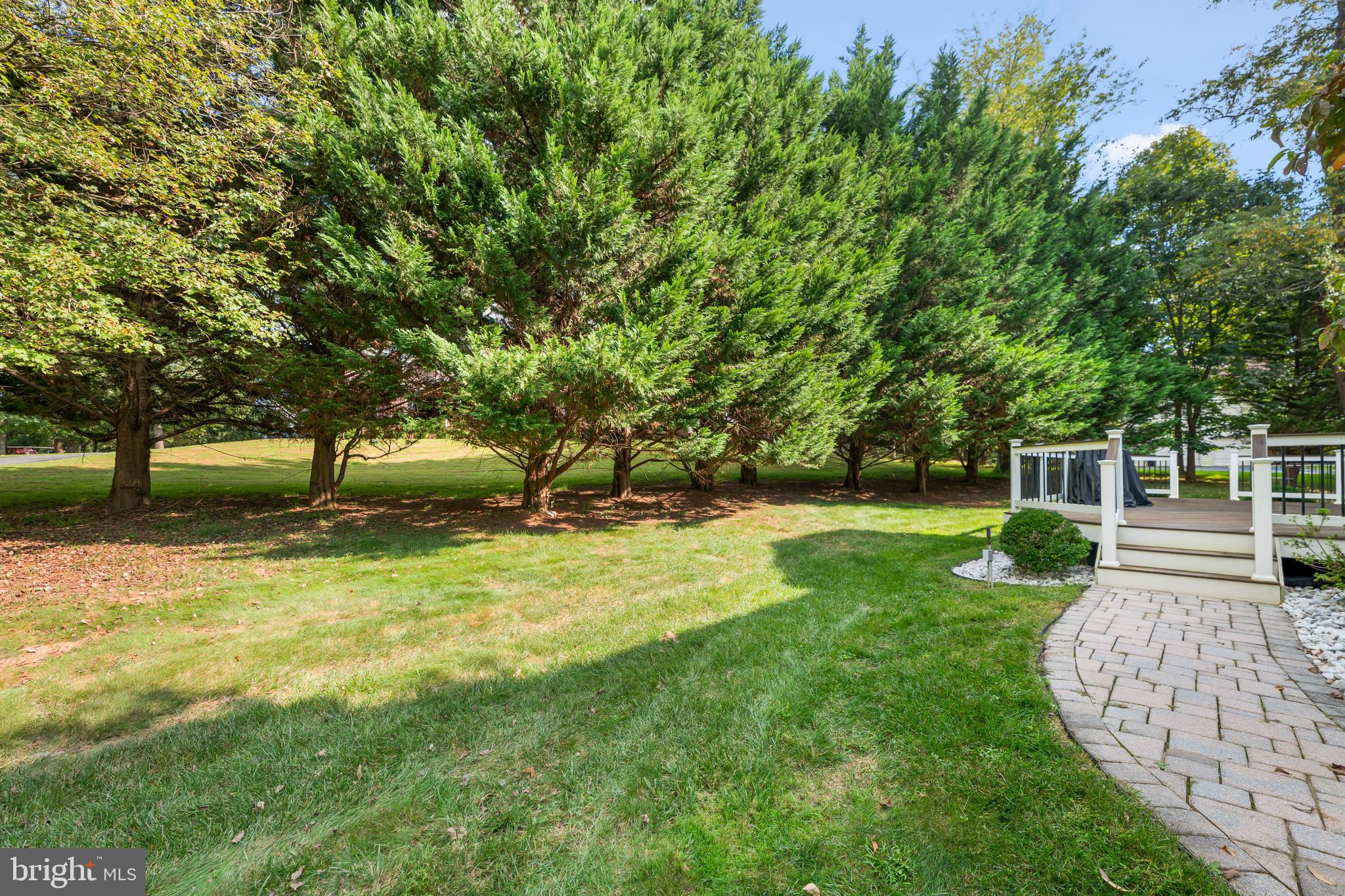 RESERVE AT VISTA RIDGE - Residential