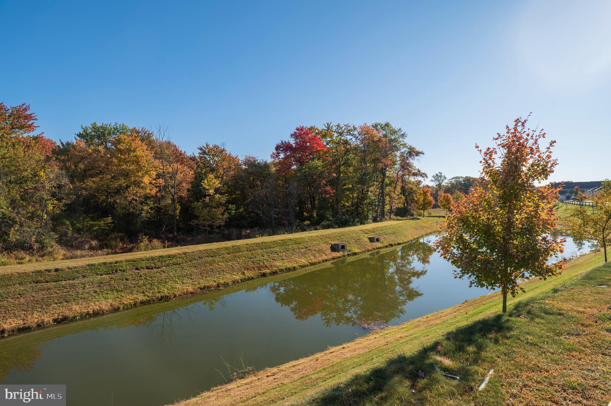 COURT AT CHESTER SP - Residential