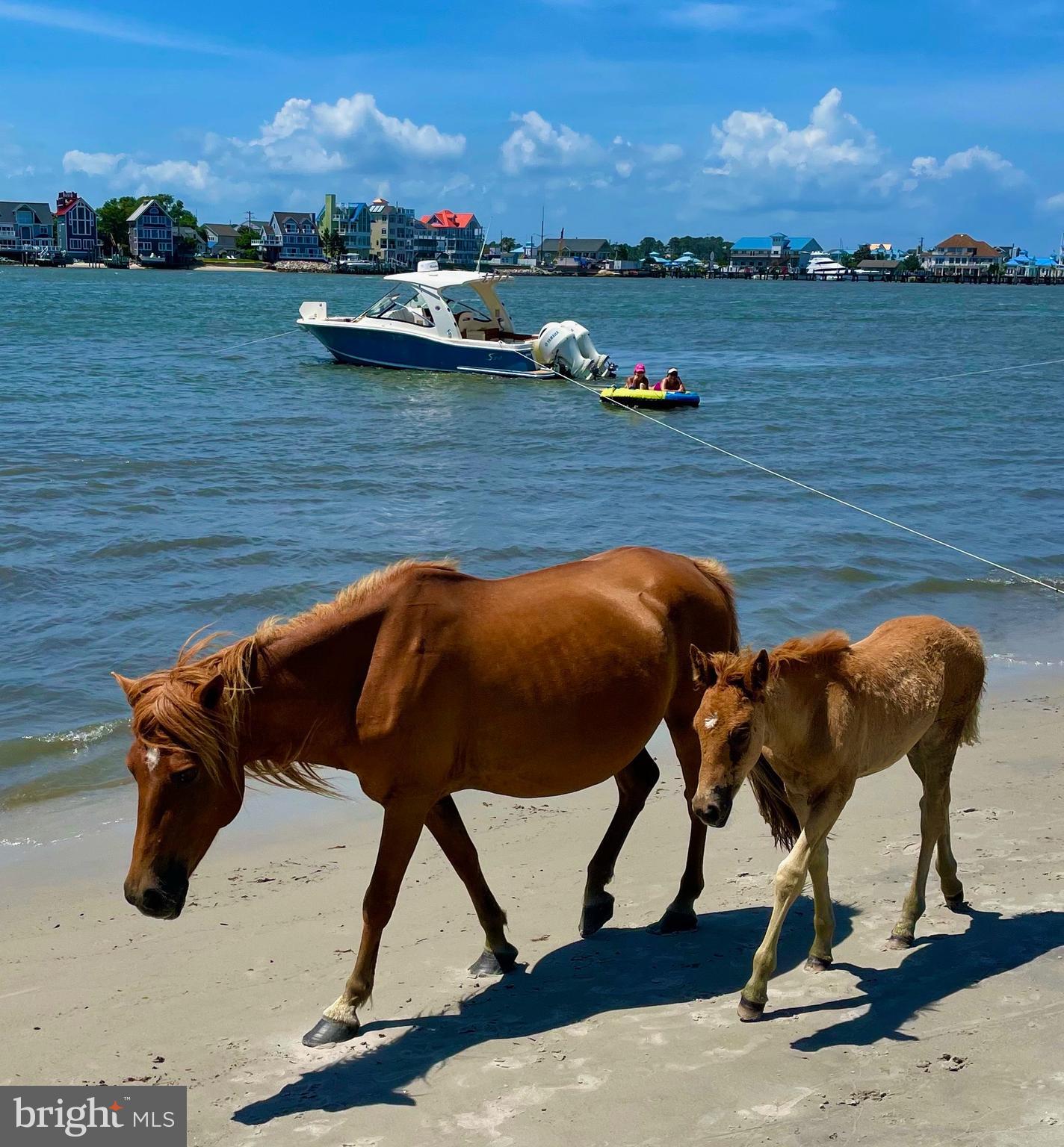 RIVERVIEW MHP - Residential