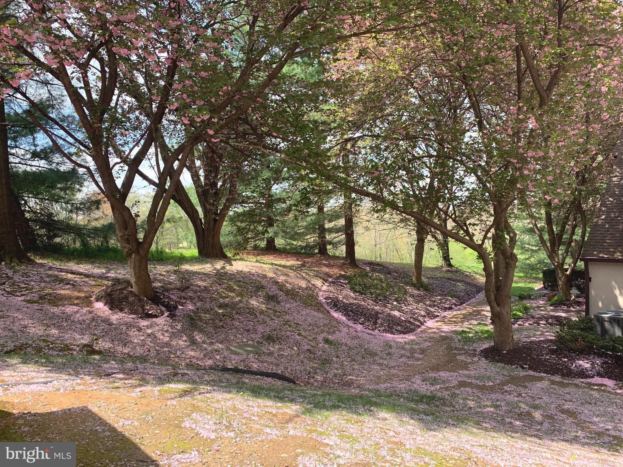 HEATHERFIELD - Residential Lease