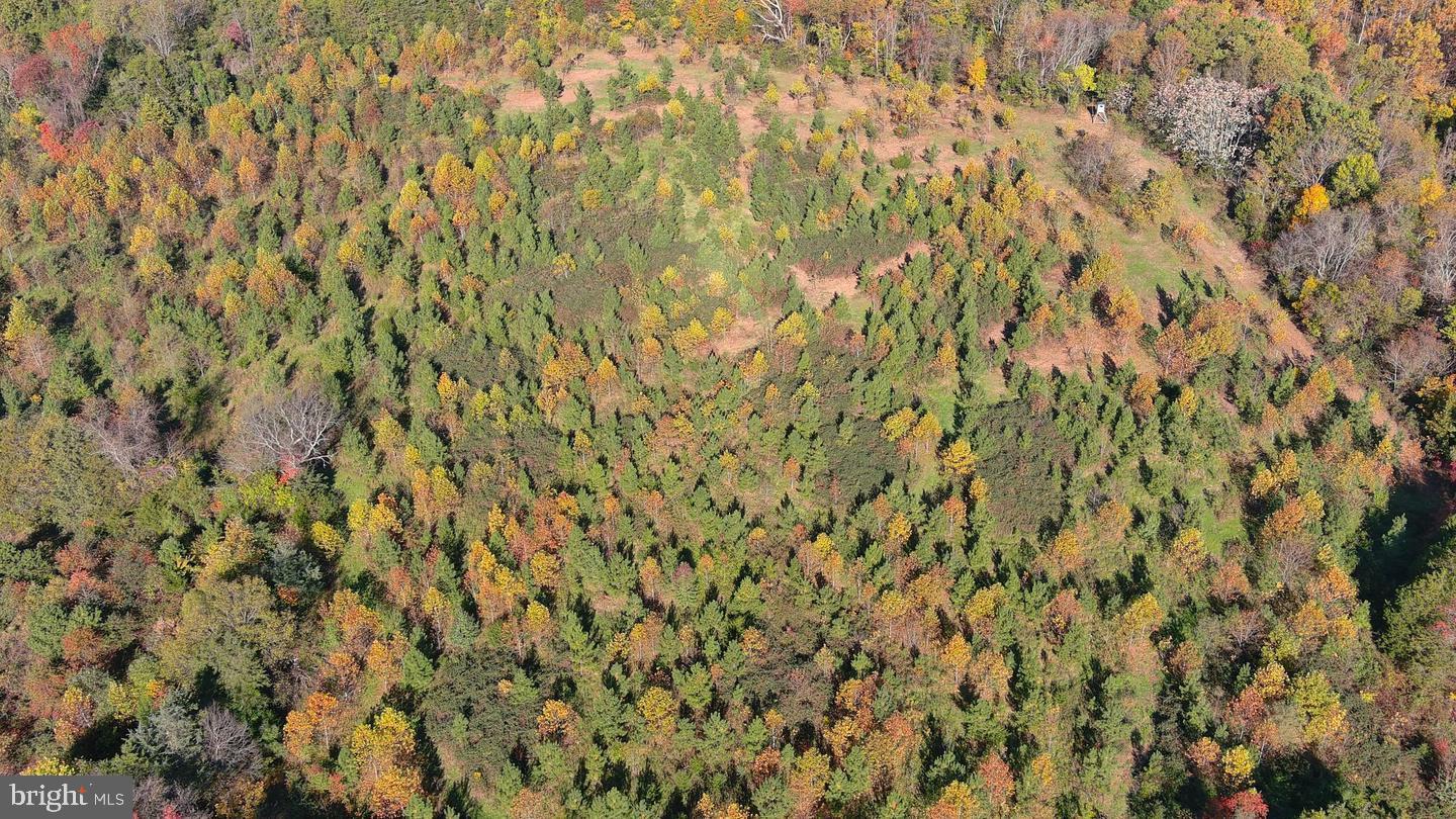 OLD BARBOURSVILLE ROAD
