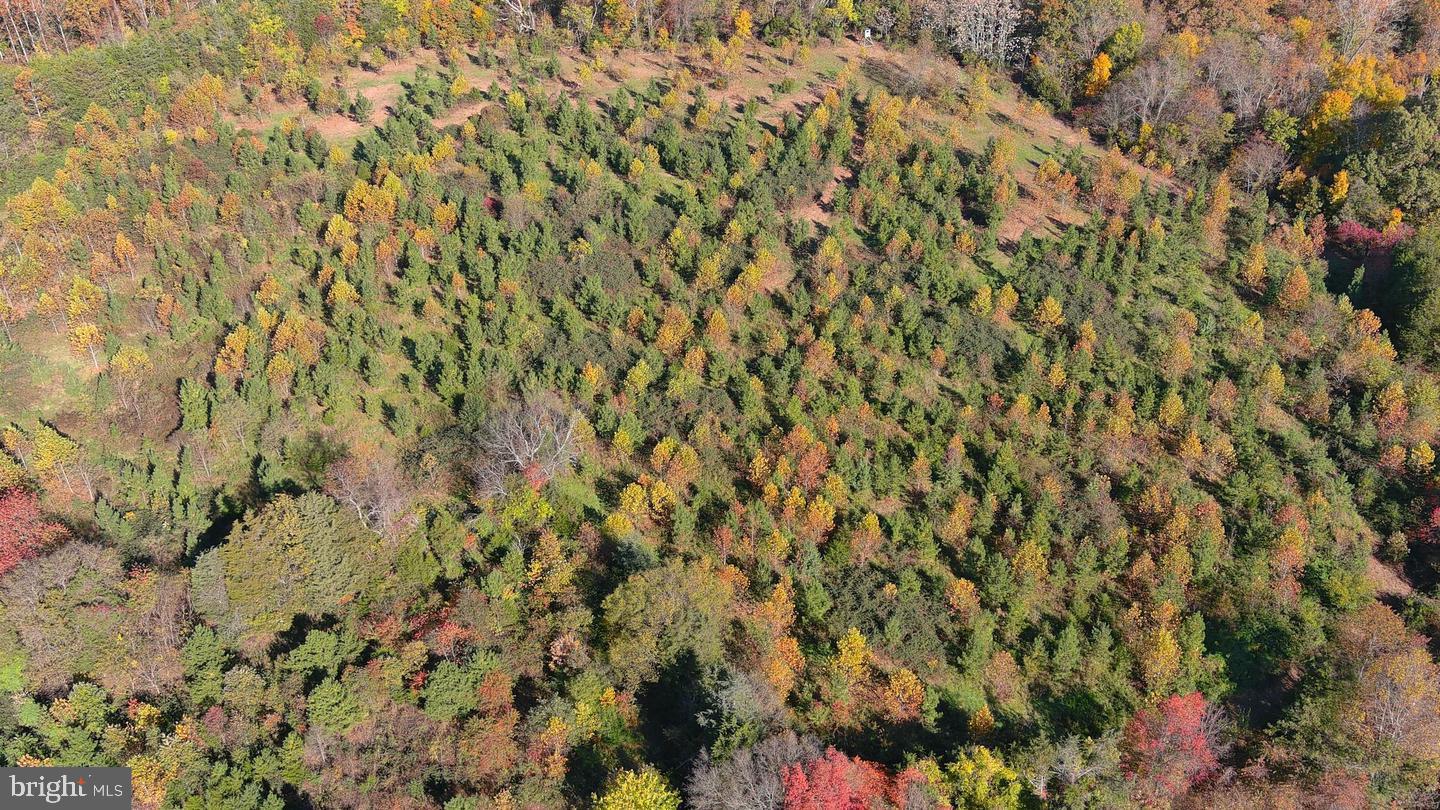 OLD BARBOURSVILLE ROAD