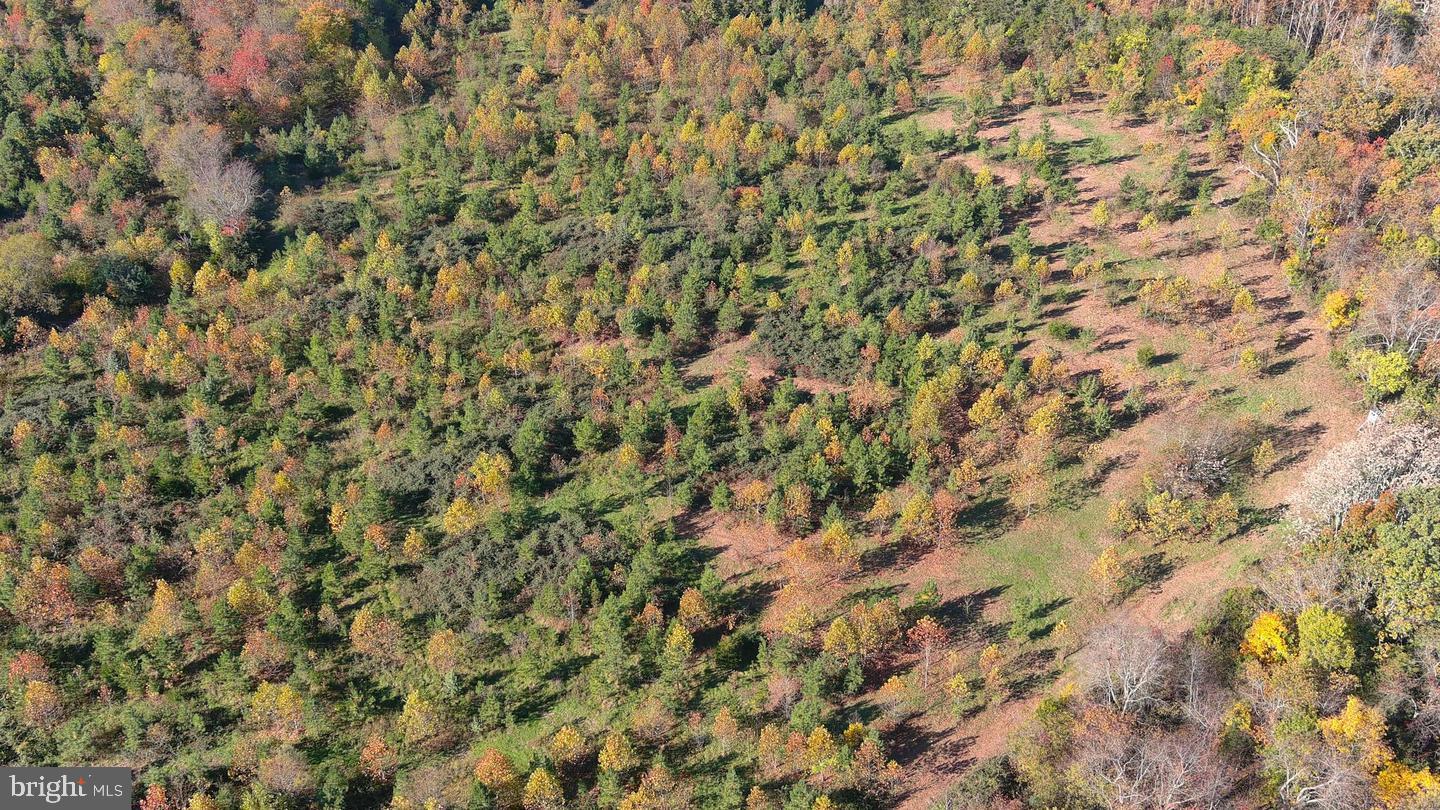 OLD BARBOURSVILLE ROAD