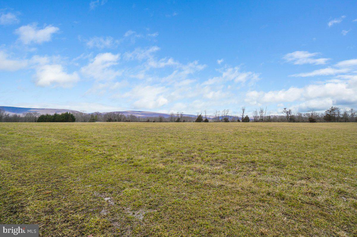 NONE AVAILABLE - Farm