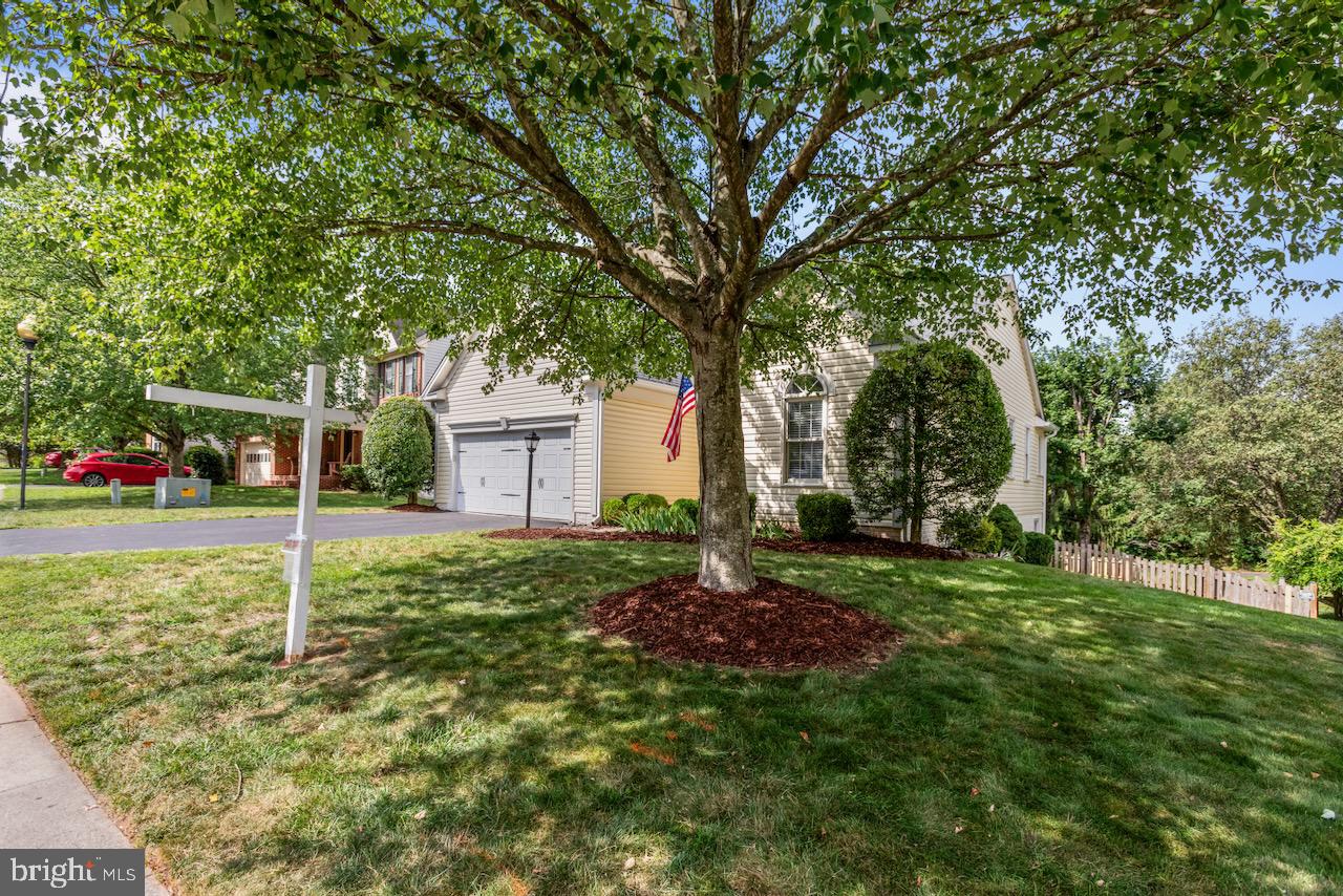 ASHBURN VILLAGE - Residential