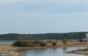 BAYVILLE SHORES - Residential