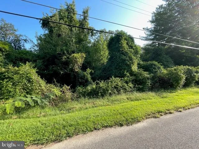 6464 Windham Avenue, Alexandria, VA 22315