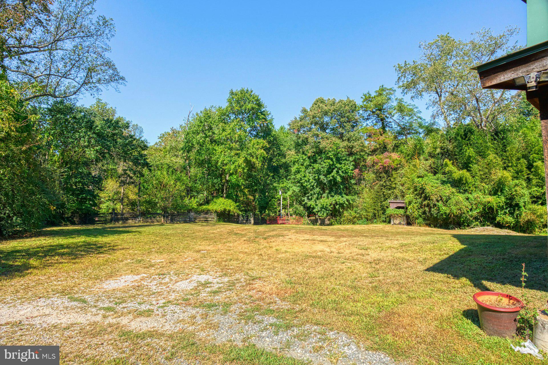 FOULGER AND BOLDOG - Farm