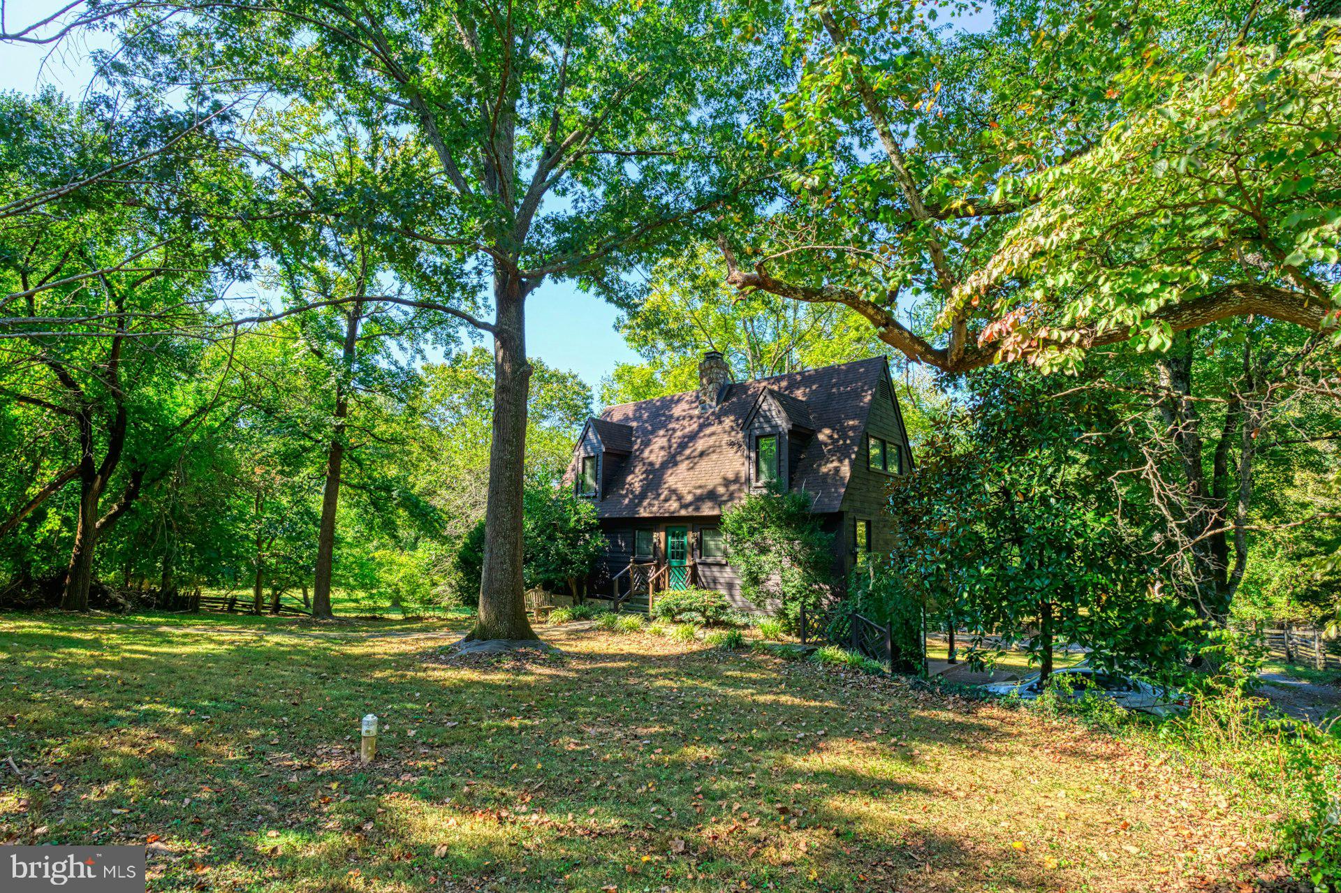 FOULGER AND BOLDOG - Farm