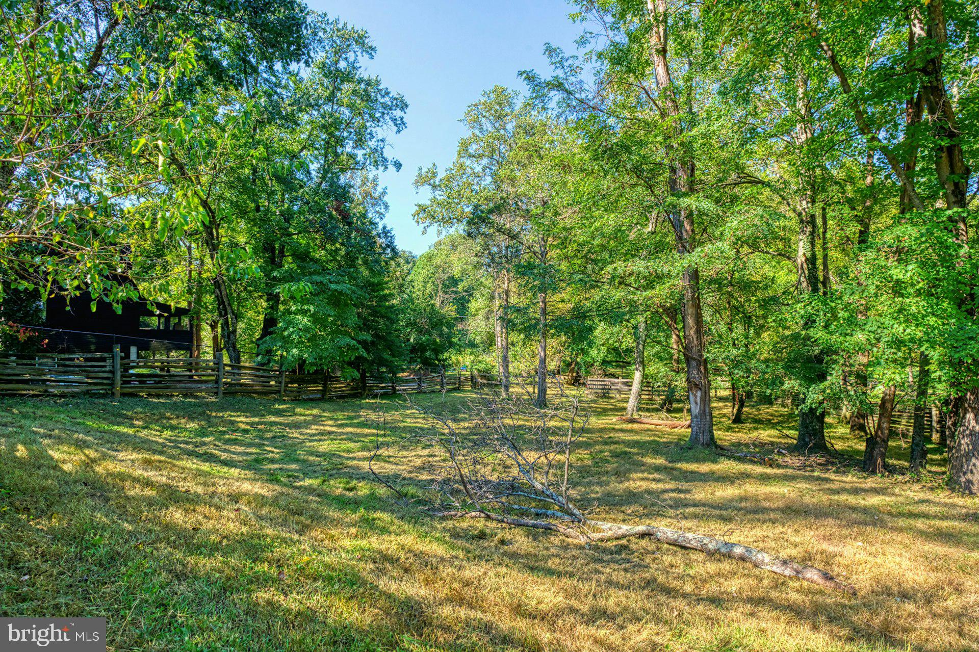 FOULGER AND BOLDOG - Farm