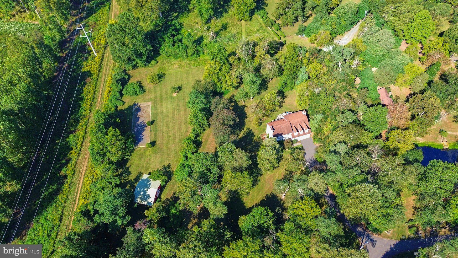 FOULGER AND BOLDOG - Farm