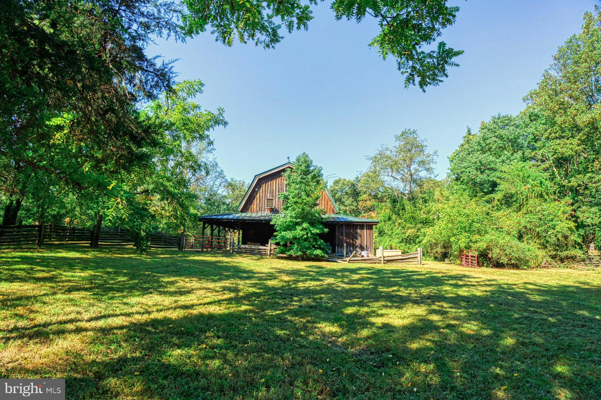 FOULGER AND BOLDOG - Farm