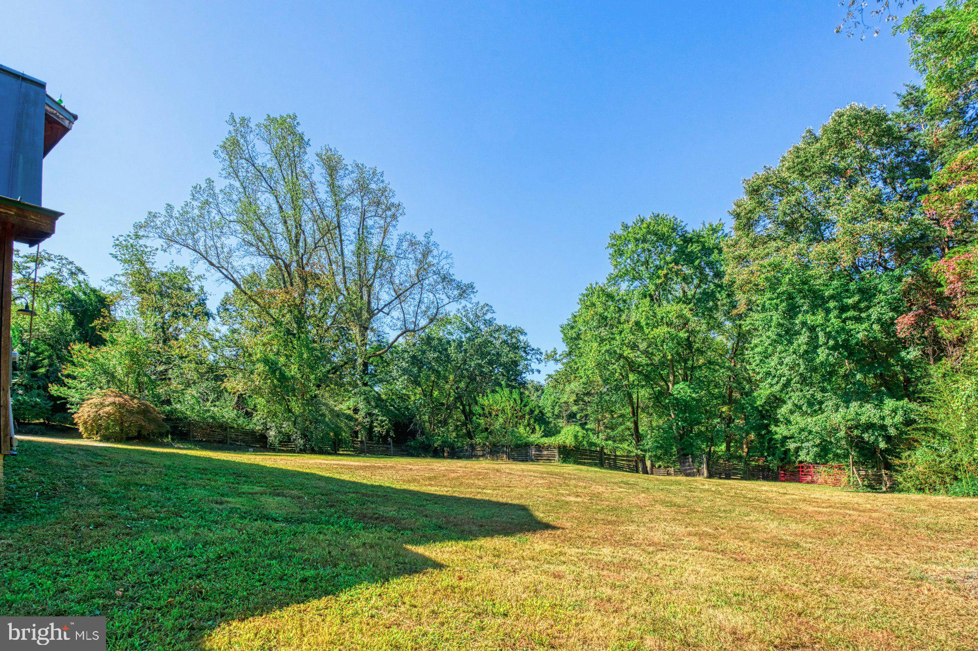 FOULGER AND BOLDOG - Farm