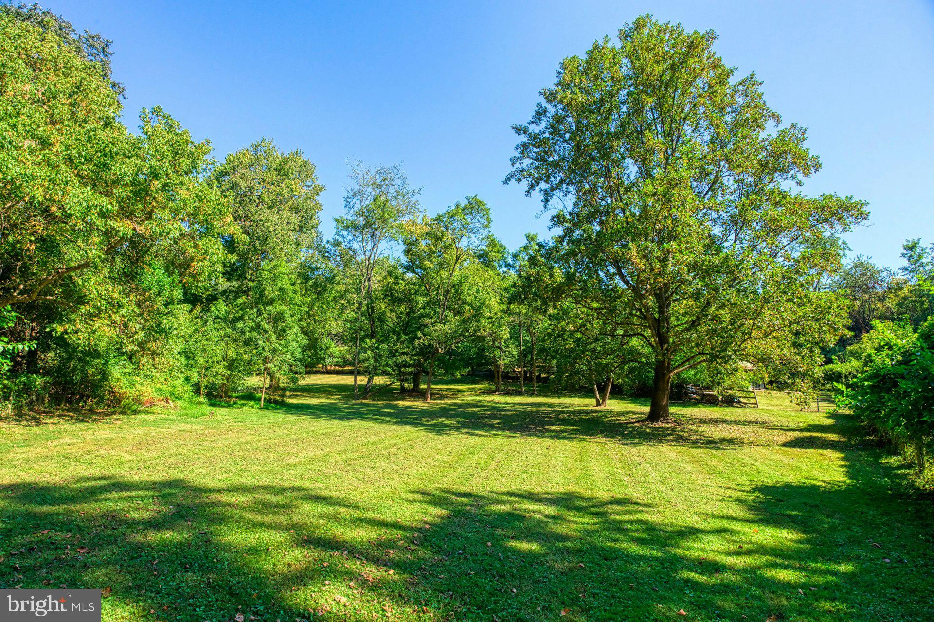 FOULGER AND BOLDOG - Farm
