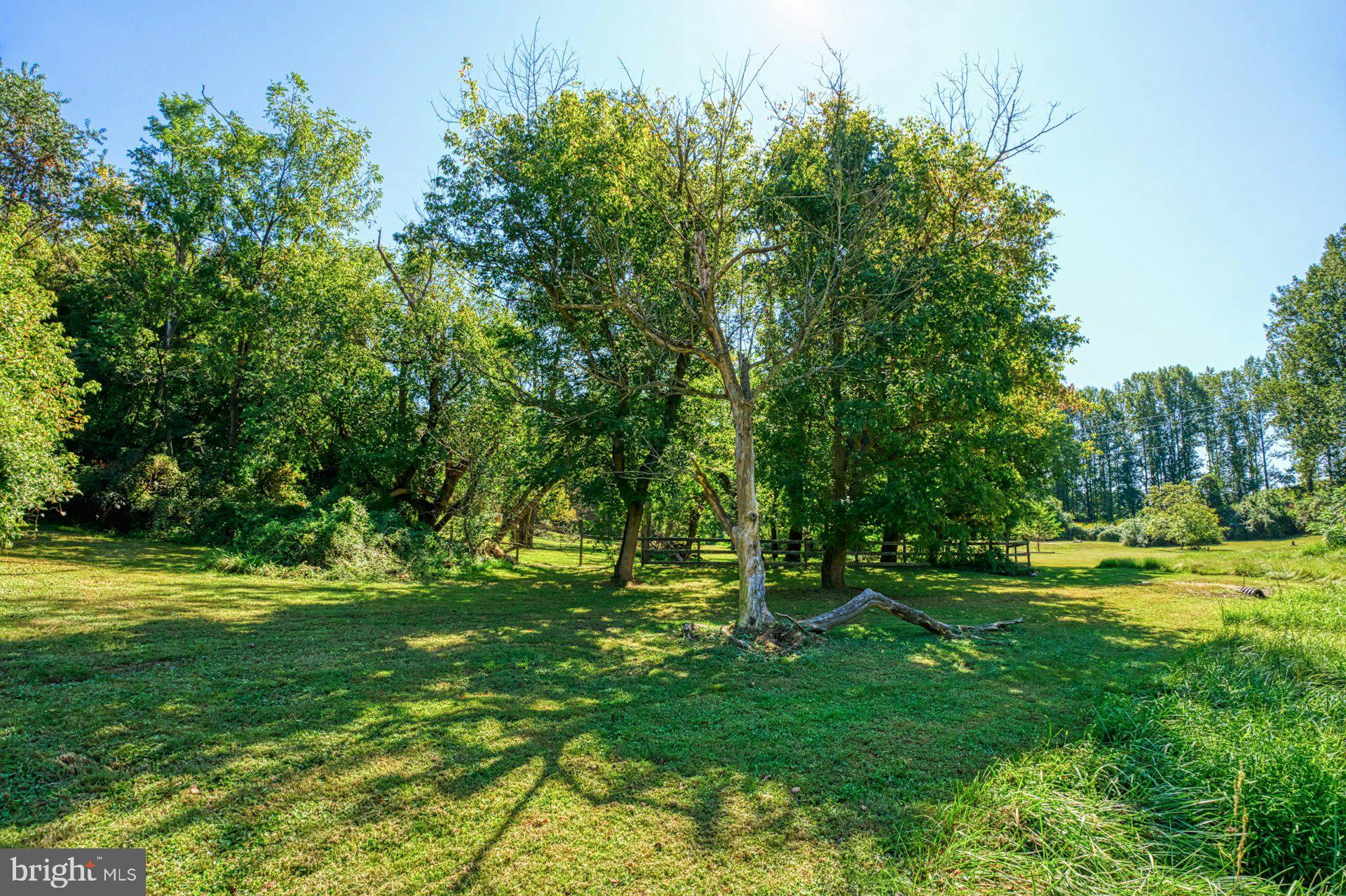 FOULGER AND BOLDOG - Farm