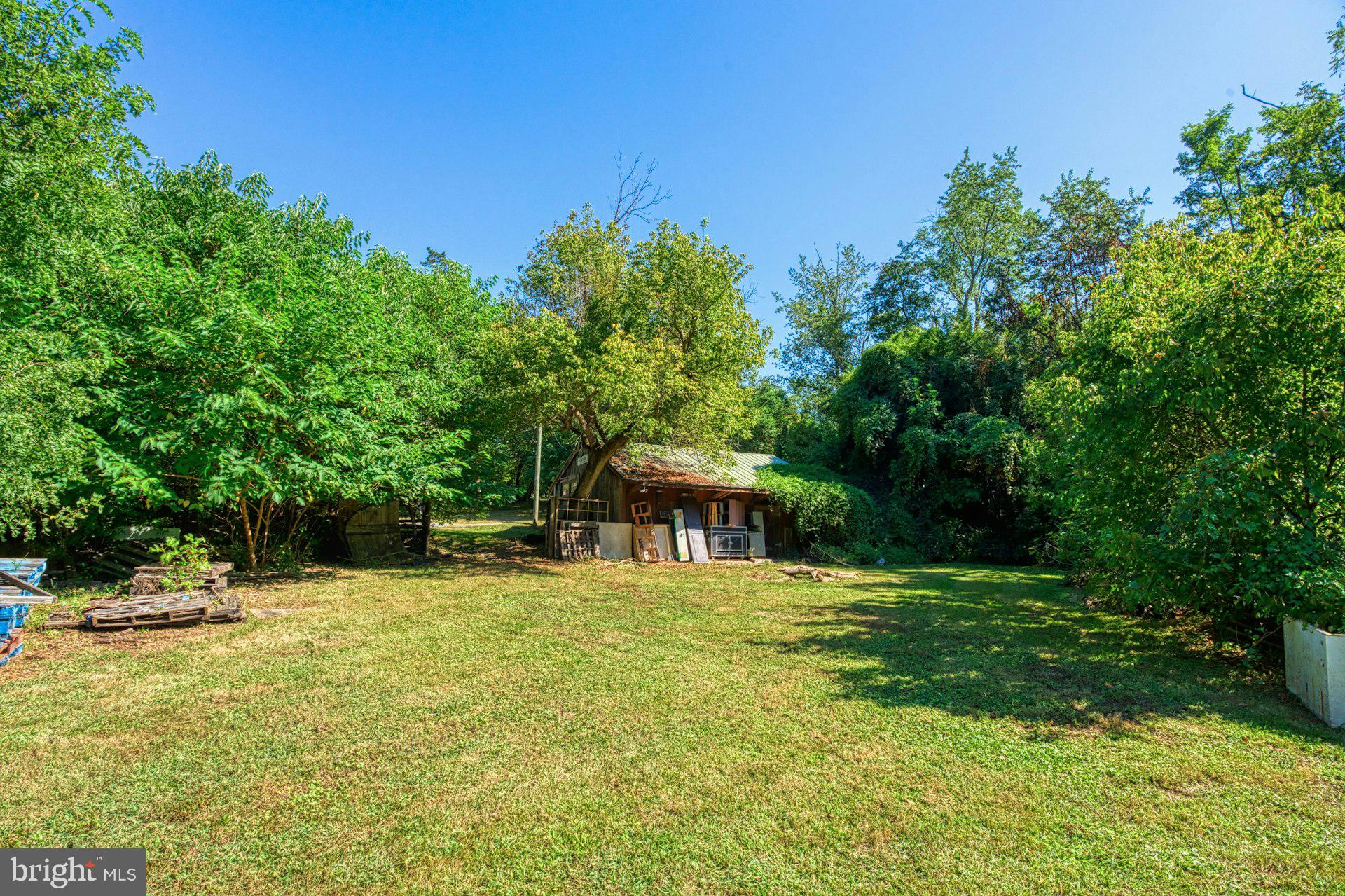 FOULGER AND BOLDOG - Farm