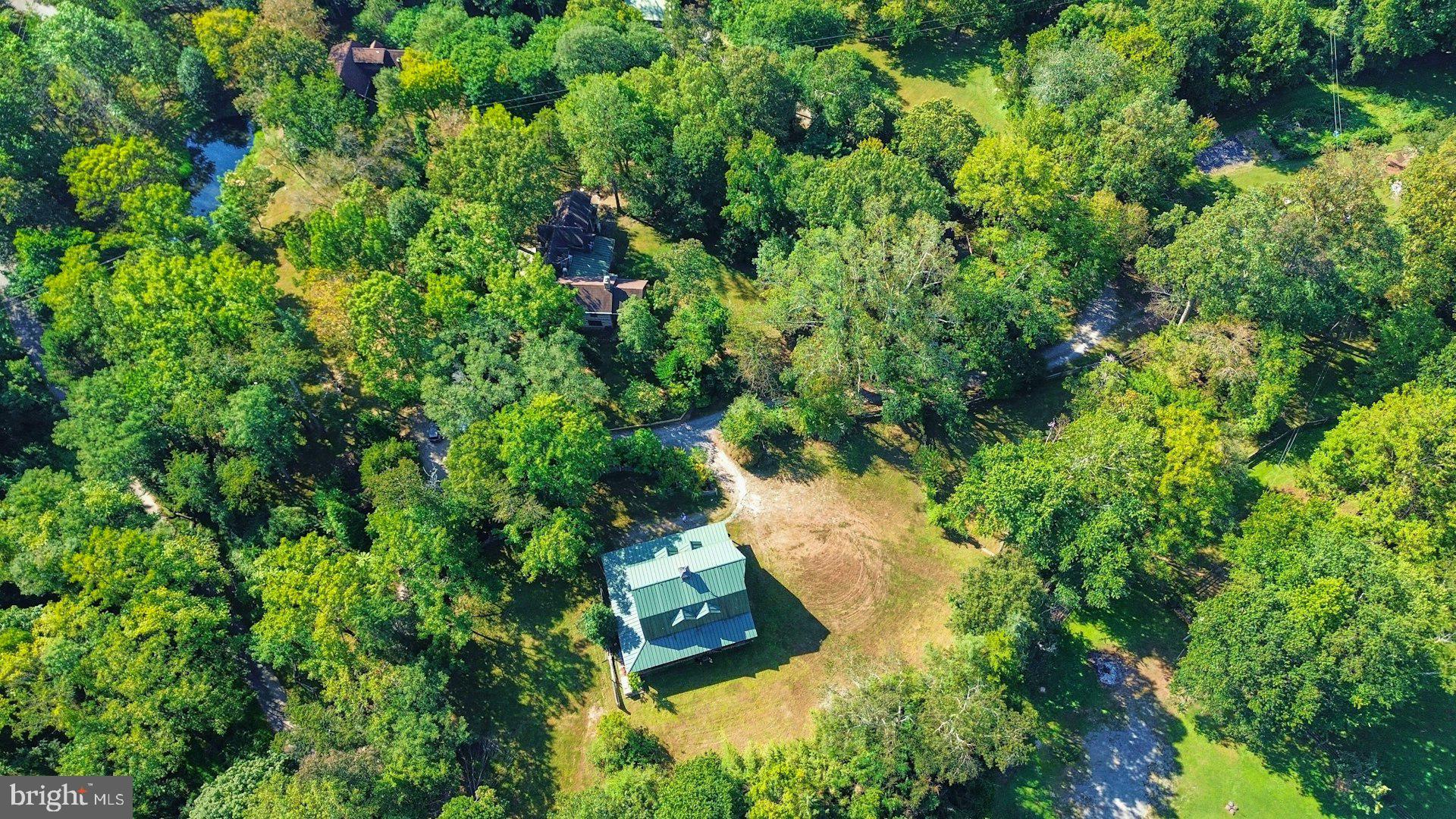 FOULGER AND BOLDOG - Farm