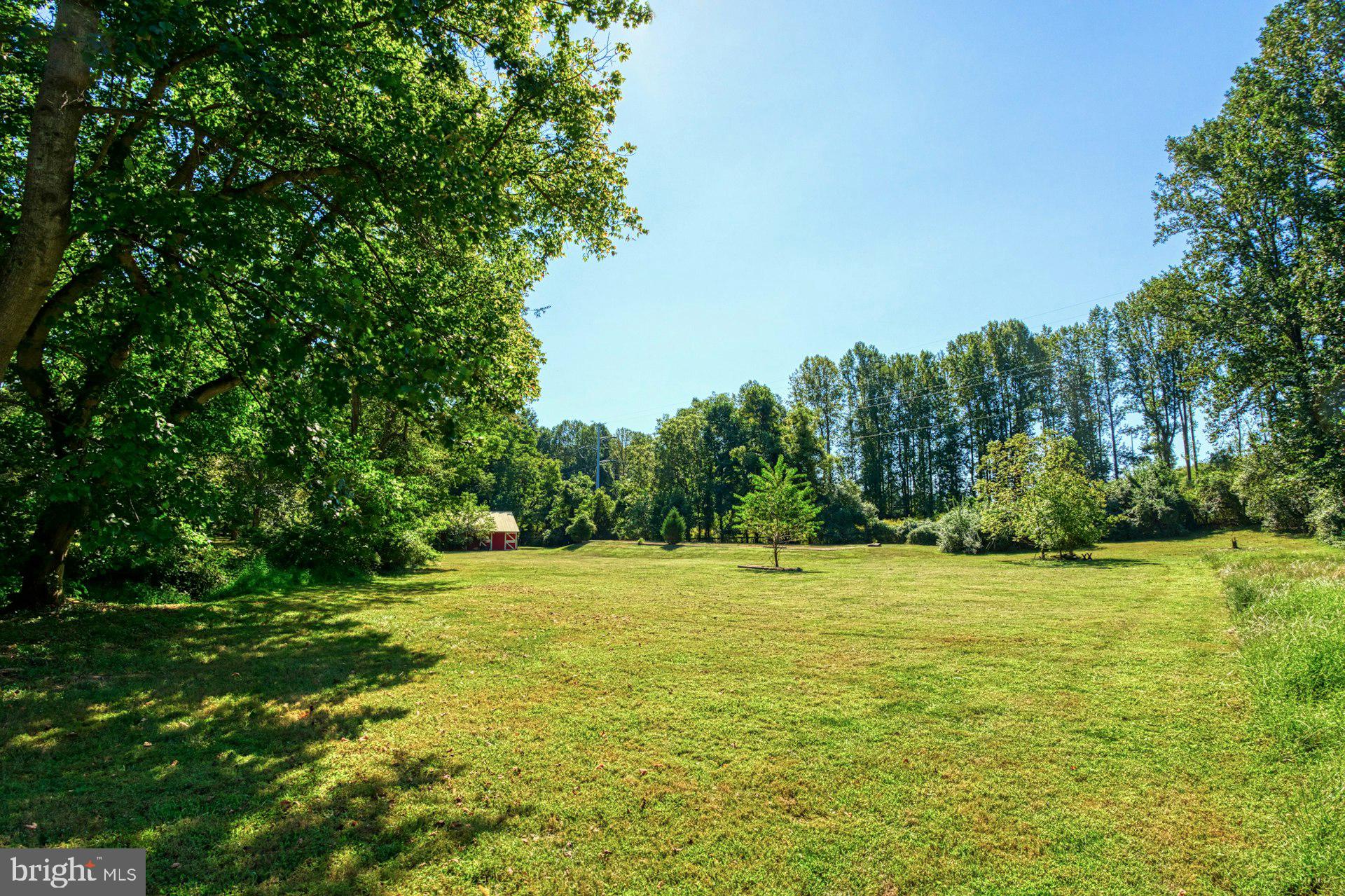 FOULGER AND BOLDOG - Farm