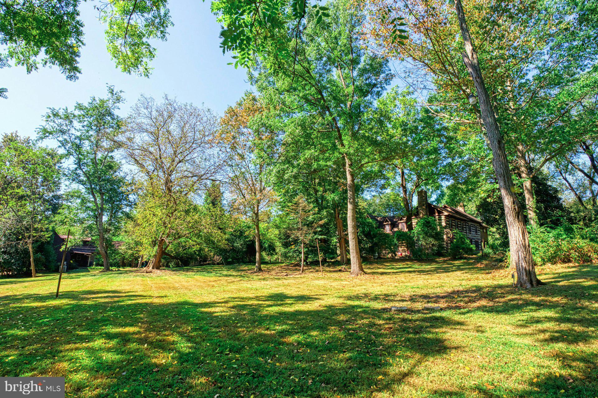 FOULGER AND BOLDOG - Farm