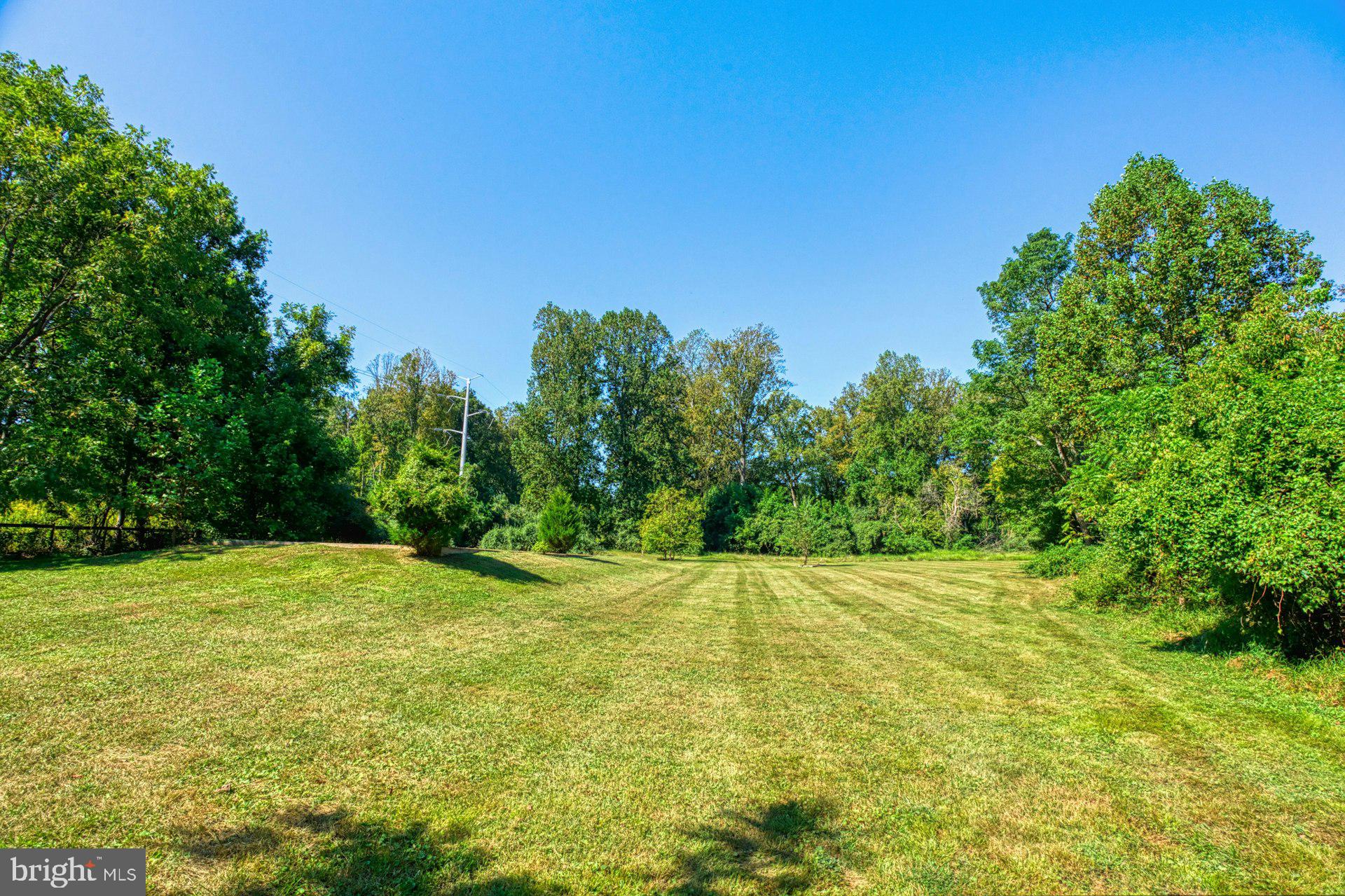 FOULGER AND BOLDOG - Farm