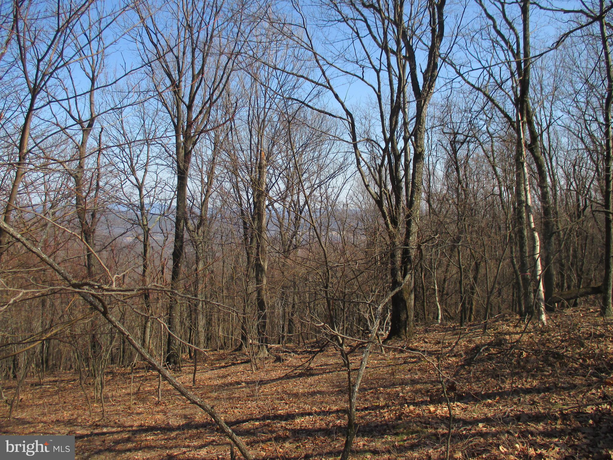 16334 LAURELHURST BOULEVARD