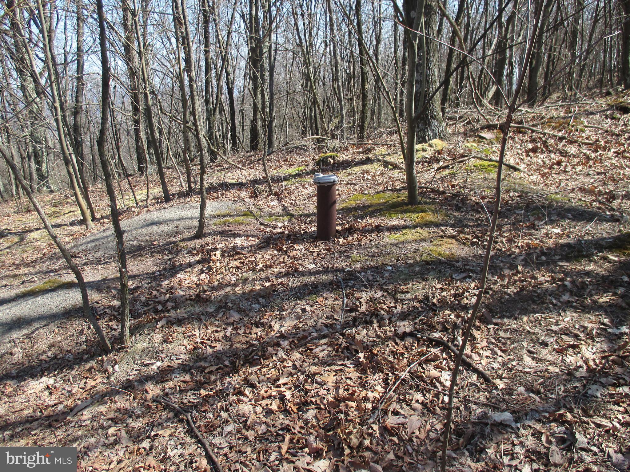 16334 LAURELHURST BOULEVARD