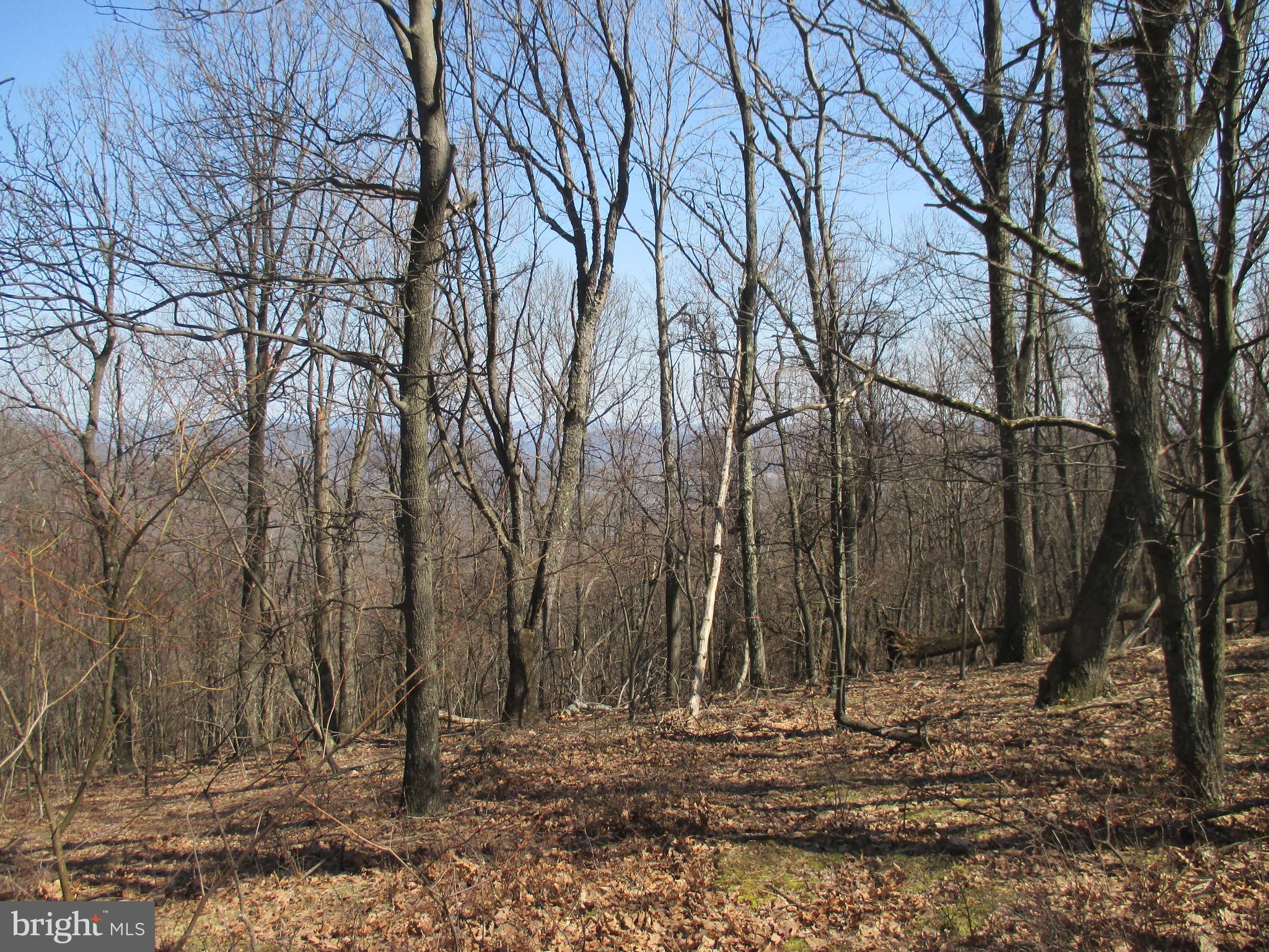 16334 LAURELHURST BOULEVARD