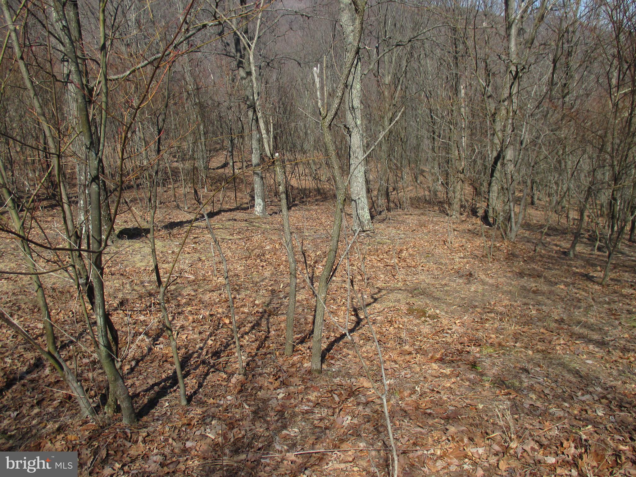 16334 LAURELHURST BOULEVARD