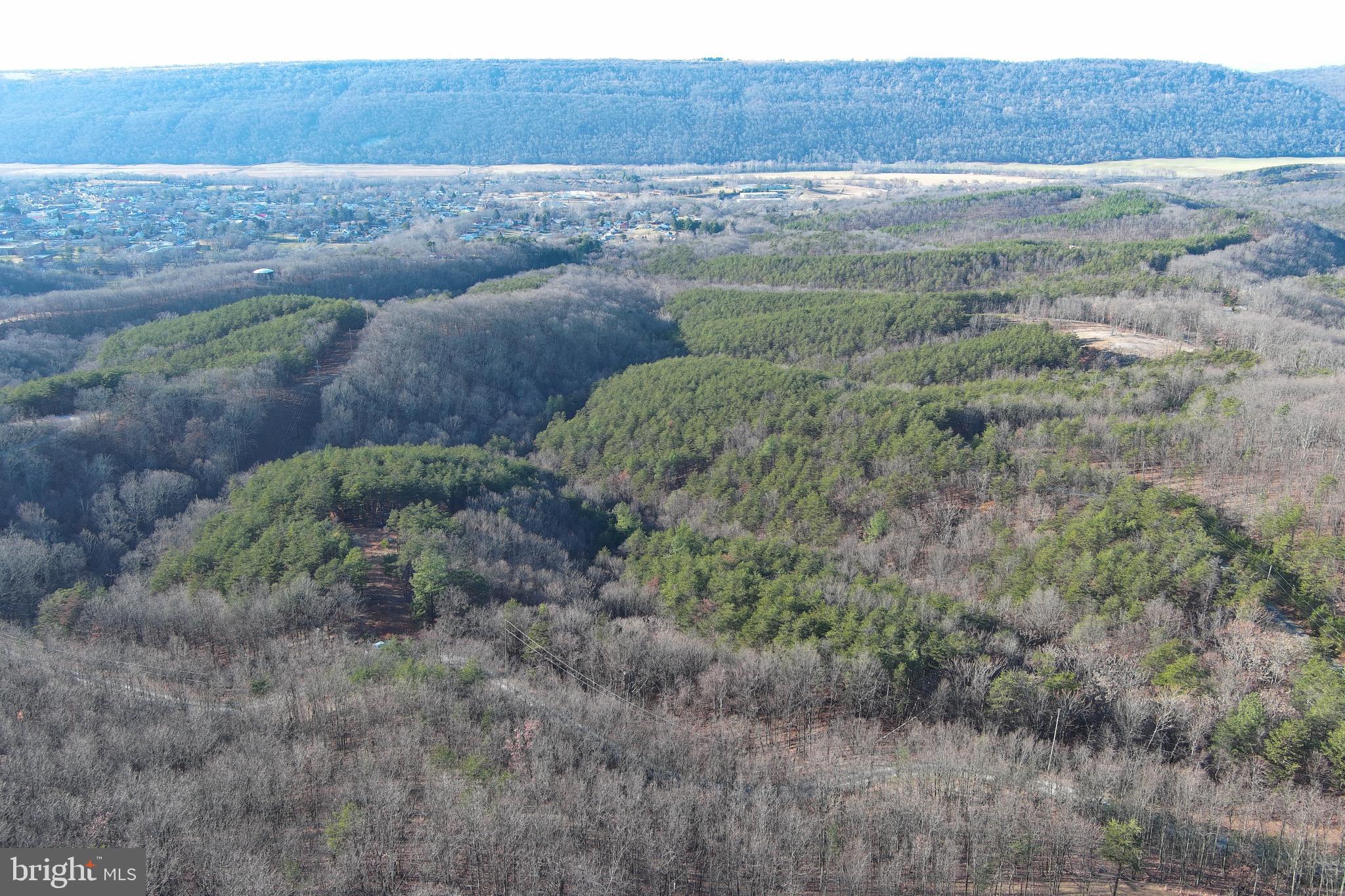 THE WOODLANDS - Land