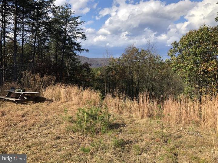 THE WOODLANDS - Land