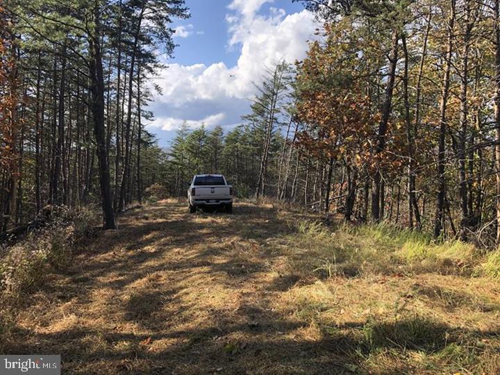 THE WOODLANDS - Land