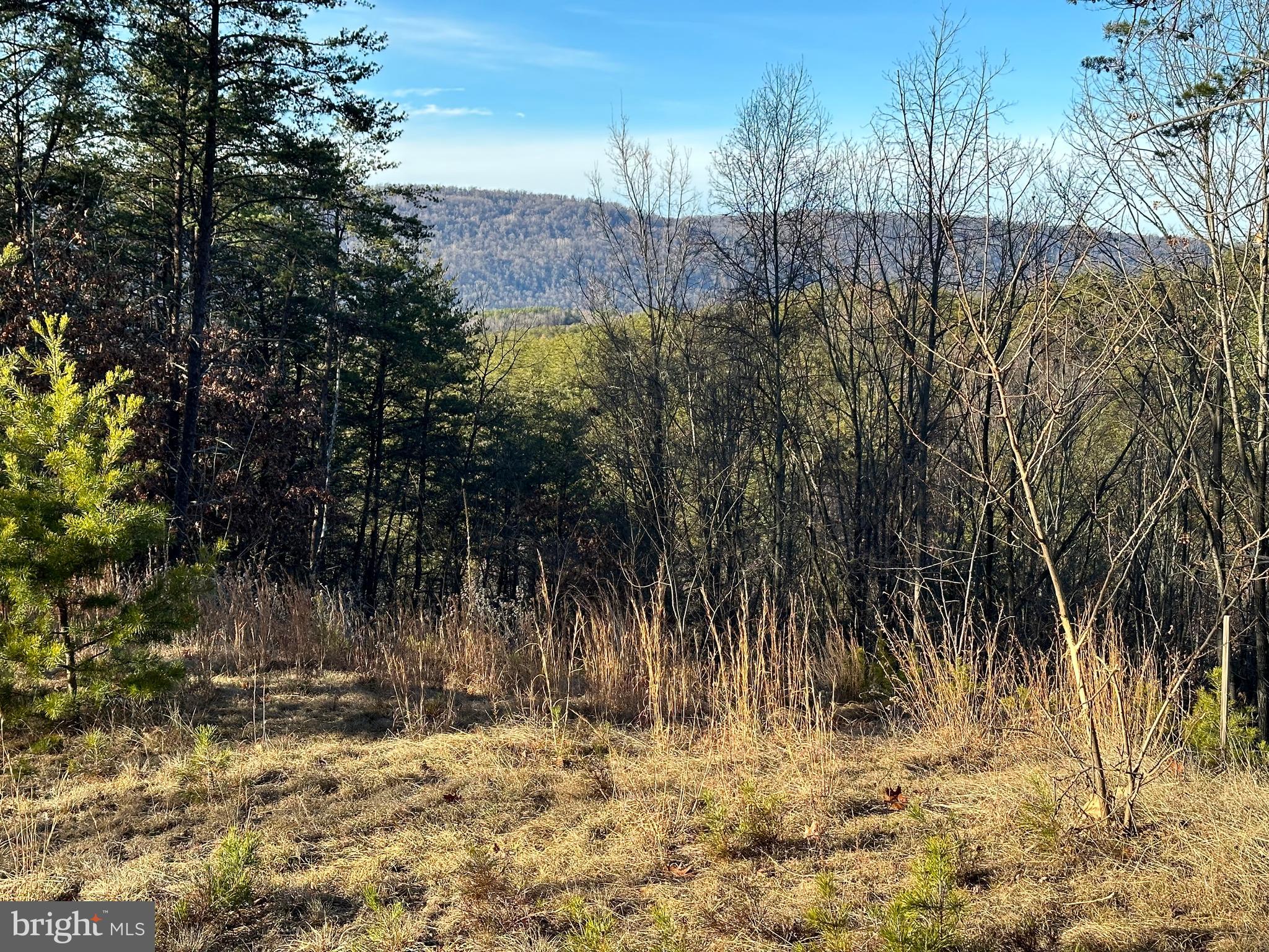 THE WOODLANDS - Land