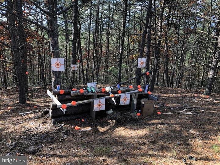 THE WOODLANDS - Land