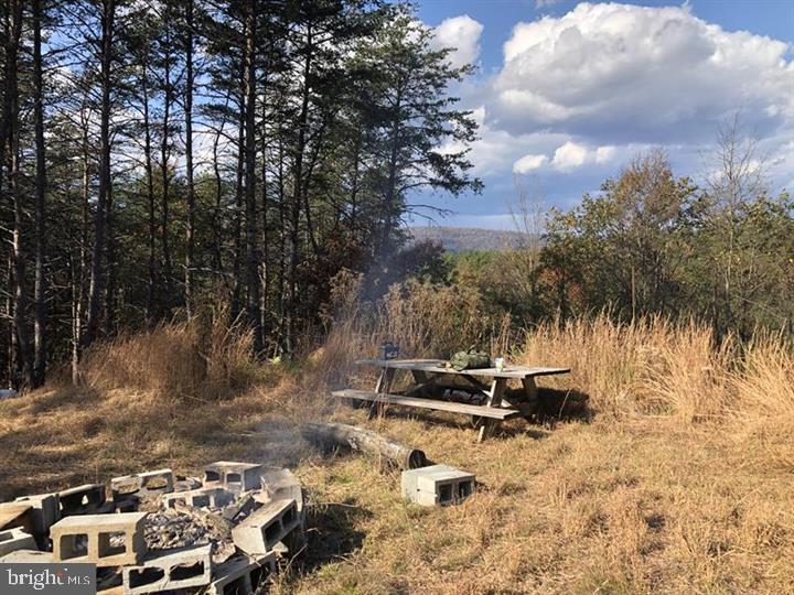 THE WOODLANDS - Land