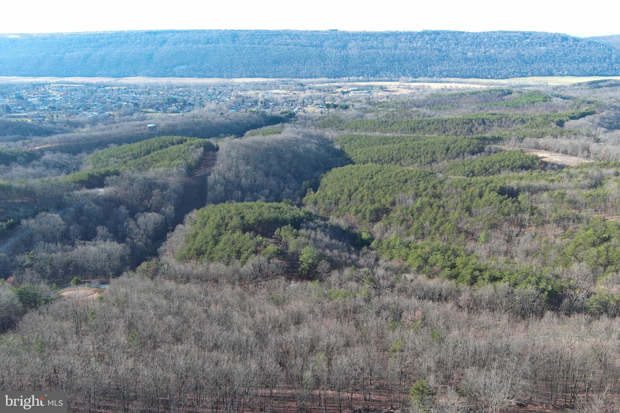 THE WOODLANDS - Land