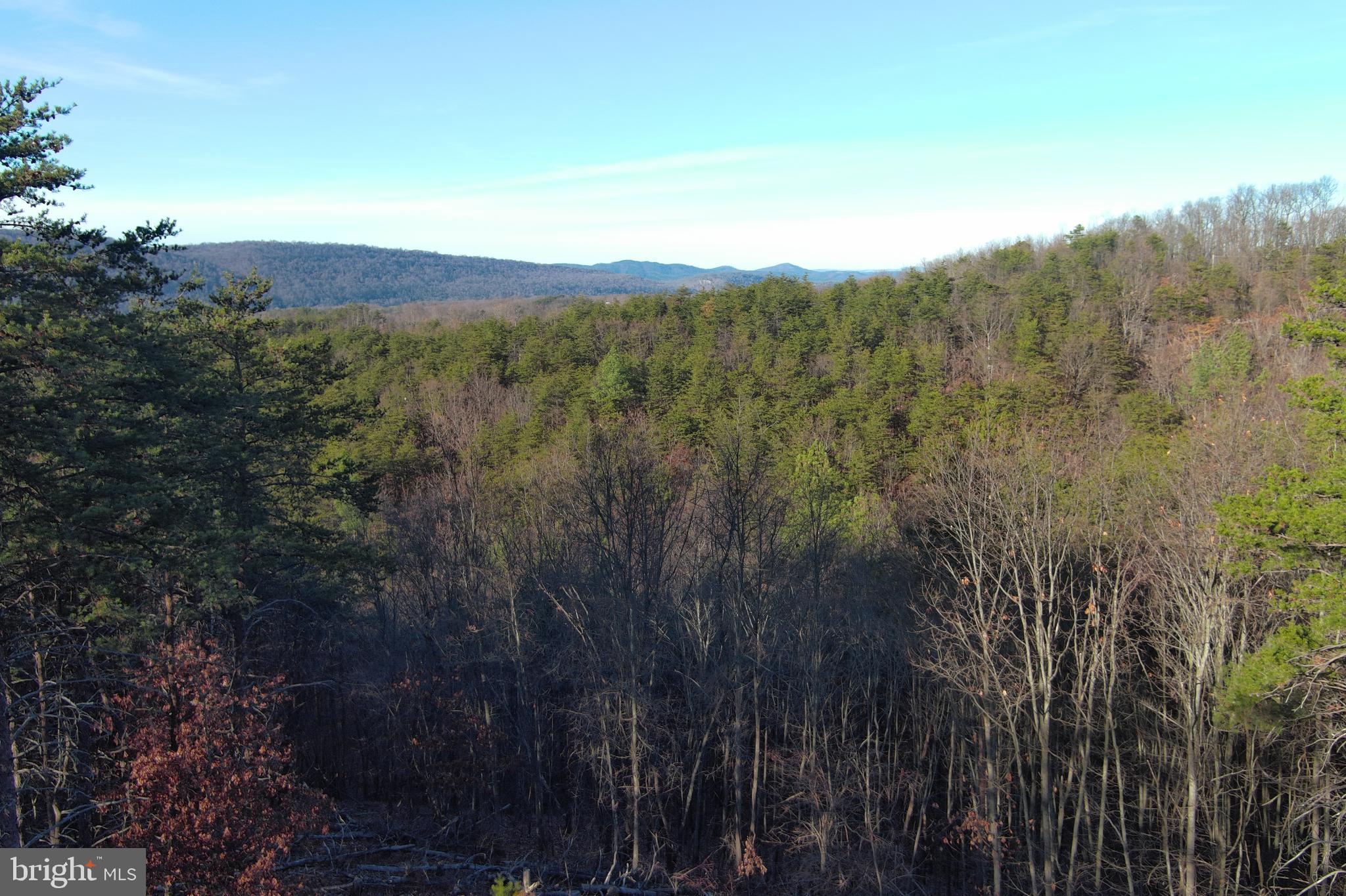 THE WOODLANDS - Land