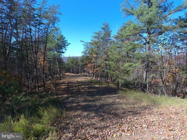 THE WOODLANDS - Land