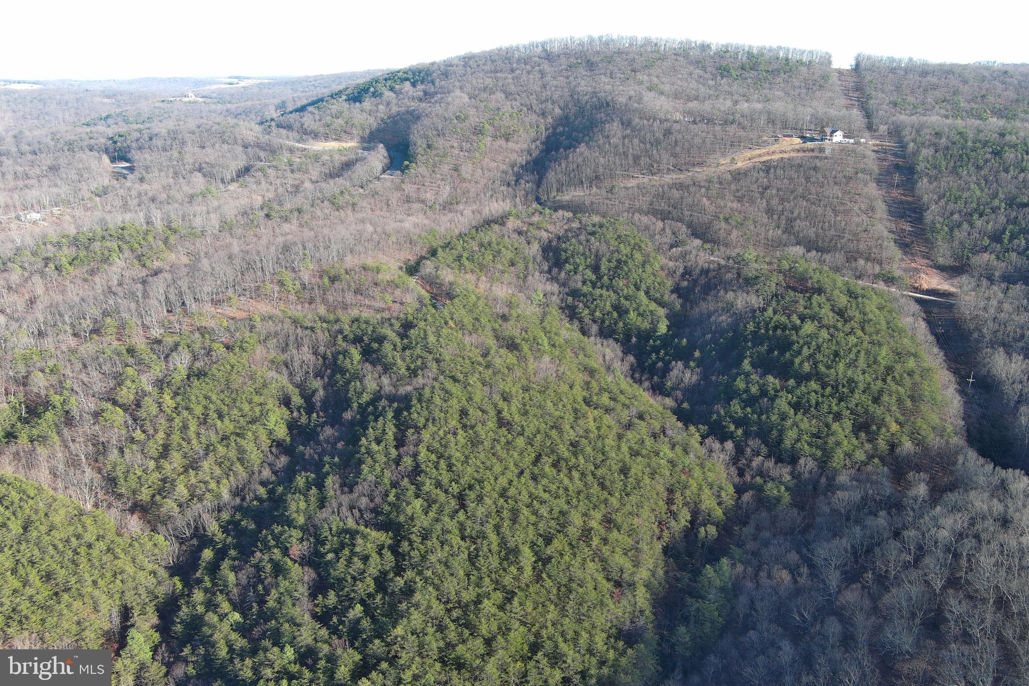 THE WOODLANDS - Land