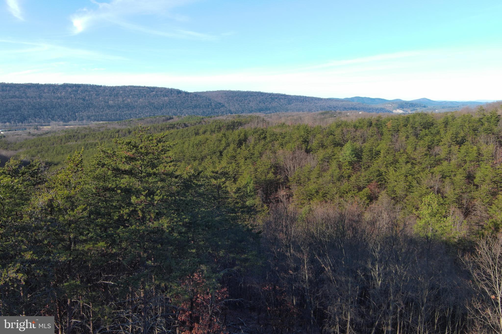 THE WOODLANDS - Land