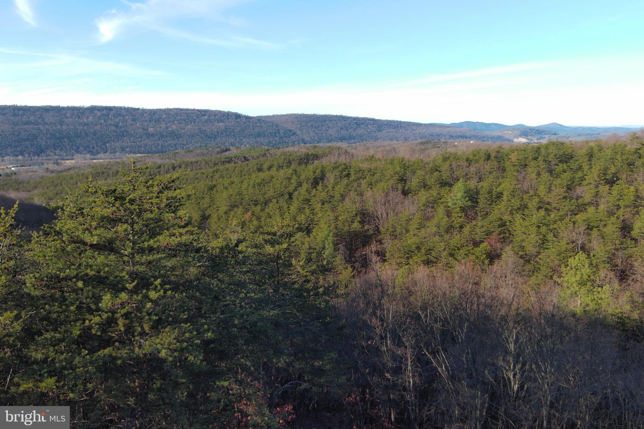 THE WOODLANDS - Land