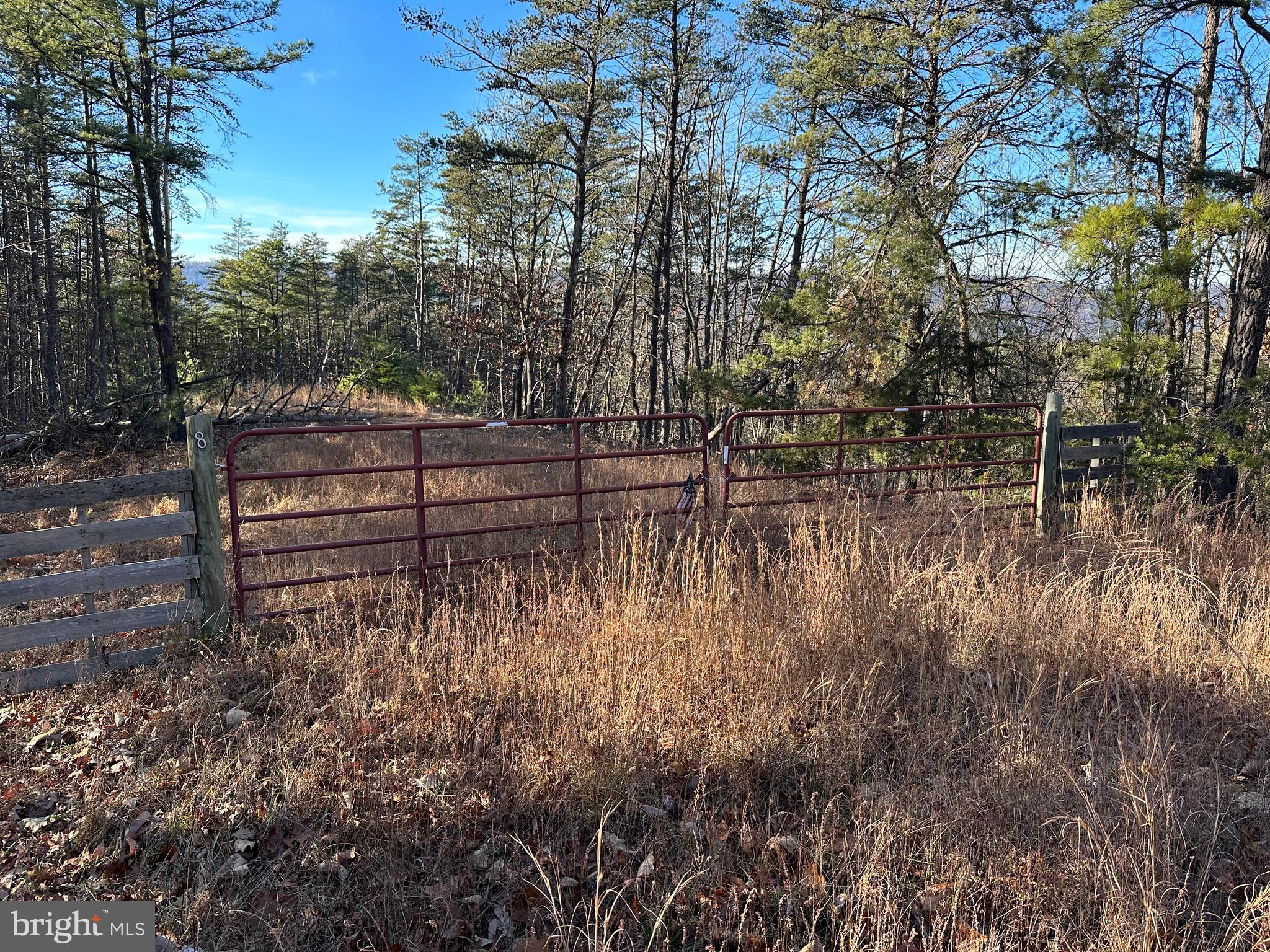 THE WOODLANDS - Land